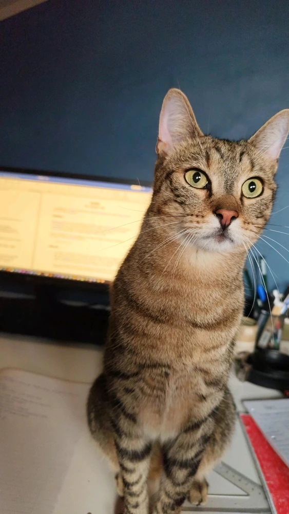 Isti által feltöltött GIF