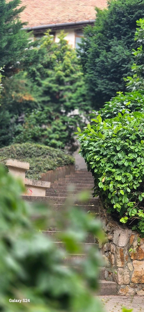 Tibi által feltöltött kép