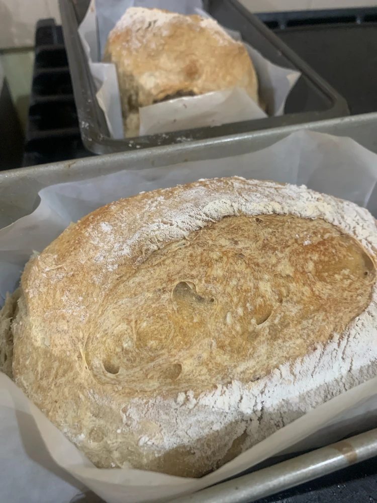 Como buena asexual…