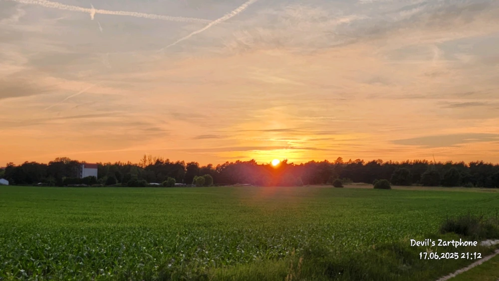 Bild hochgeladen von Devil