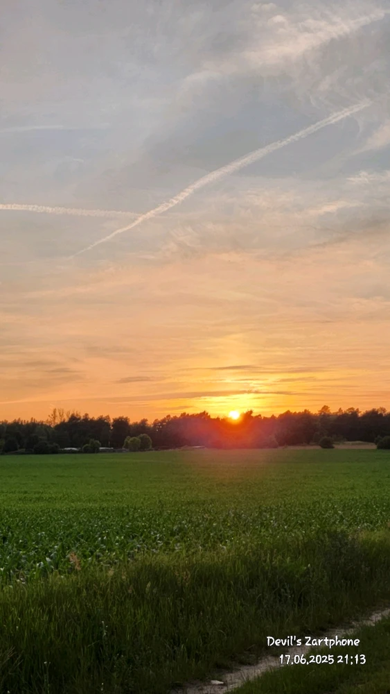 Bild hochgeladen von Devil