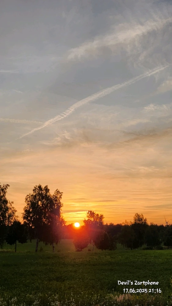 Bild hochgeladen von Devil