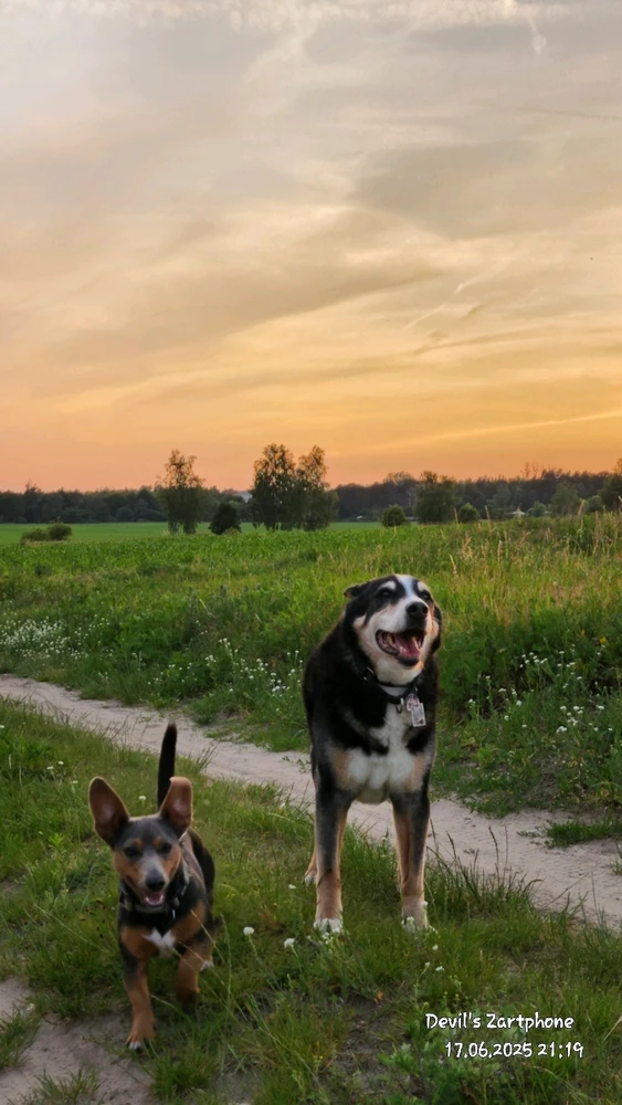 Bild hochgeladen von Devil