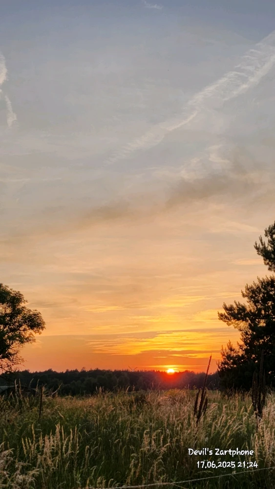 Bild hochgeladen von Devil