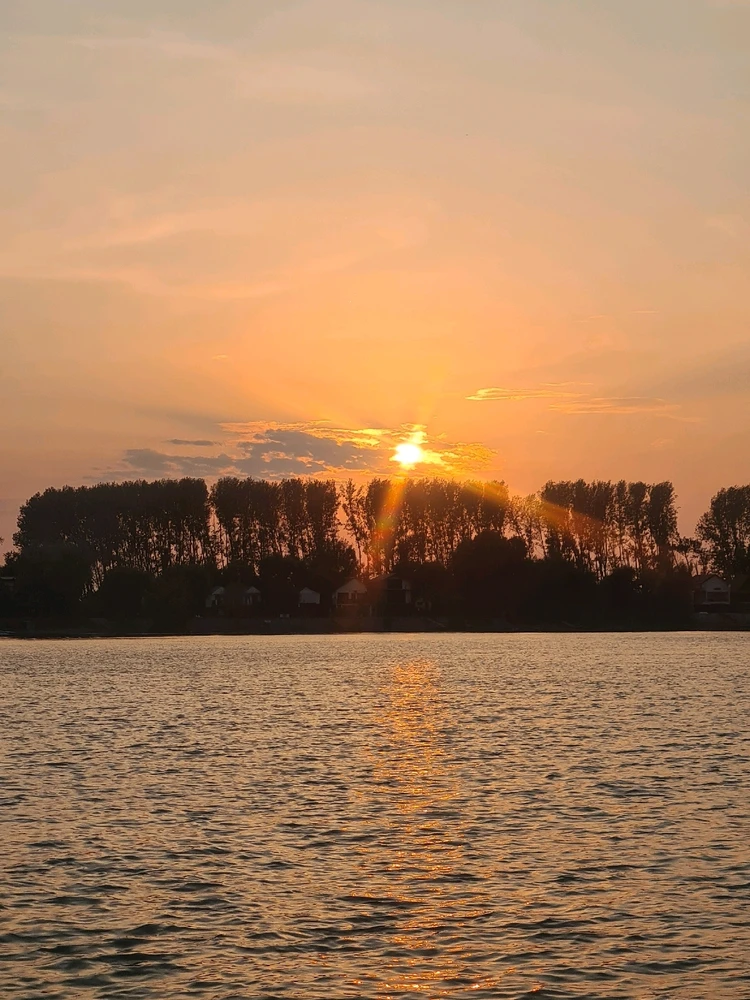 Sliku je postavio/la Zoran