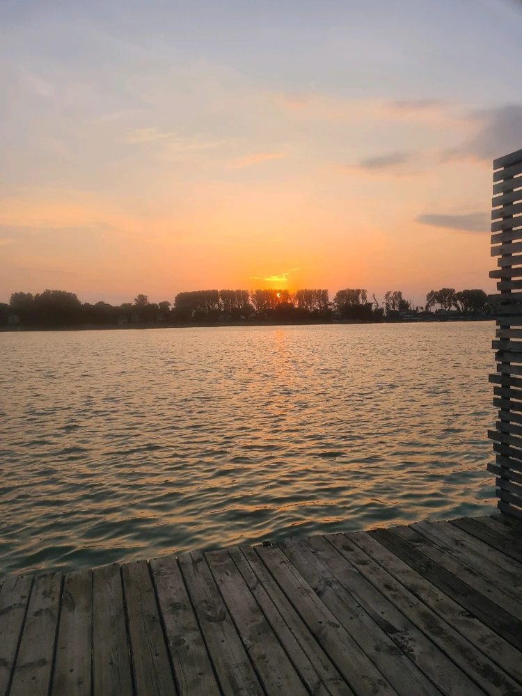 Sliku je postavio/la Zoran