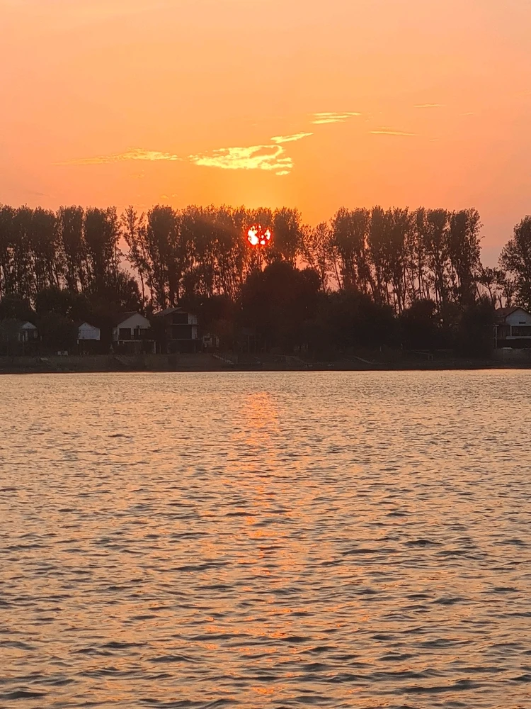 Sliku je postavio/la Zoran