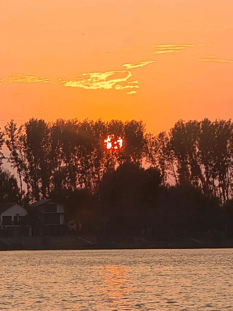 Sliku je postavio/la Zoran