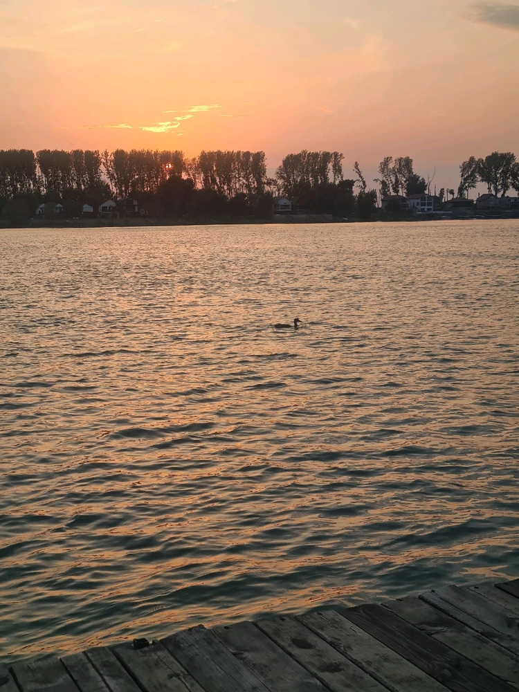 Sliku je postavio/la Zoran