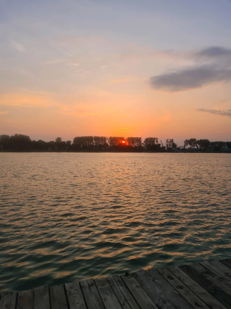 Sliku je postavio/la Zoran