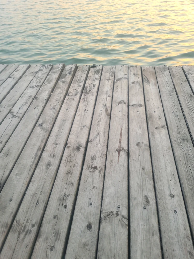 Sliku je postavio/la Zoran