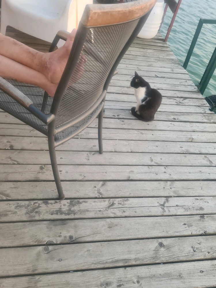 Sliku je postavio/la Zoran