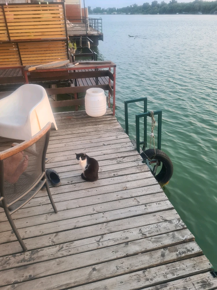 Sliku je postavio/la Zoran