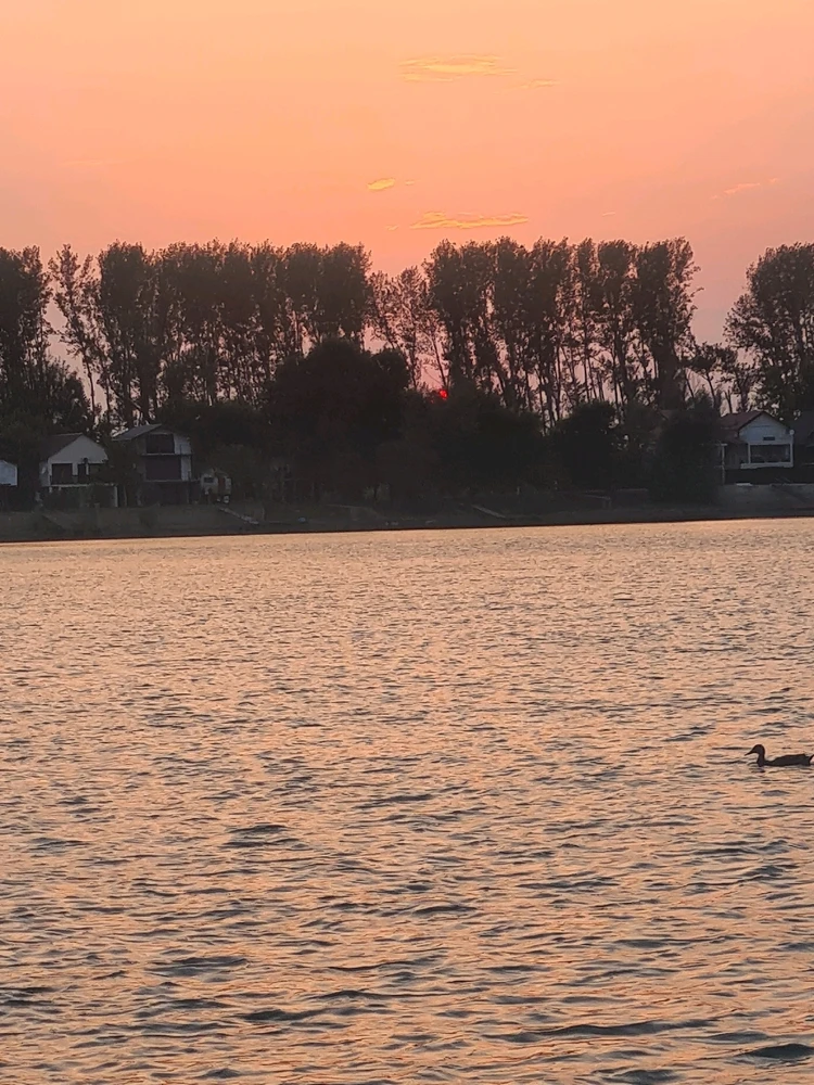 Sliku je postavio/la Zoran