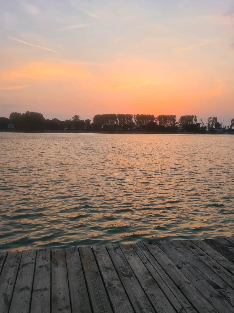 Sliku je postavio/la Zoran