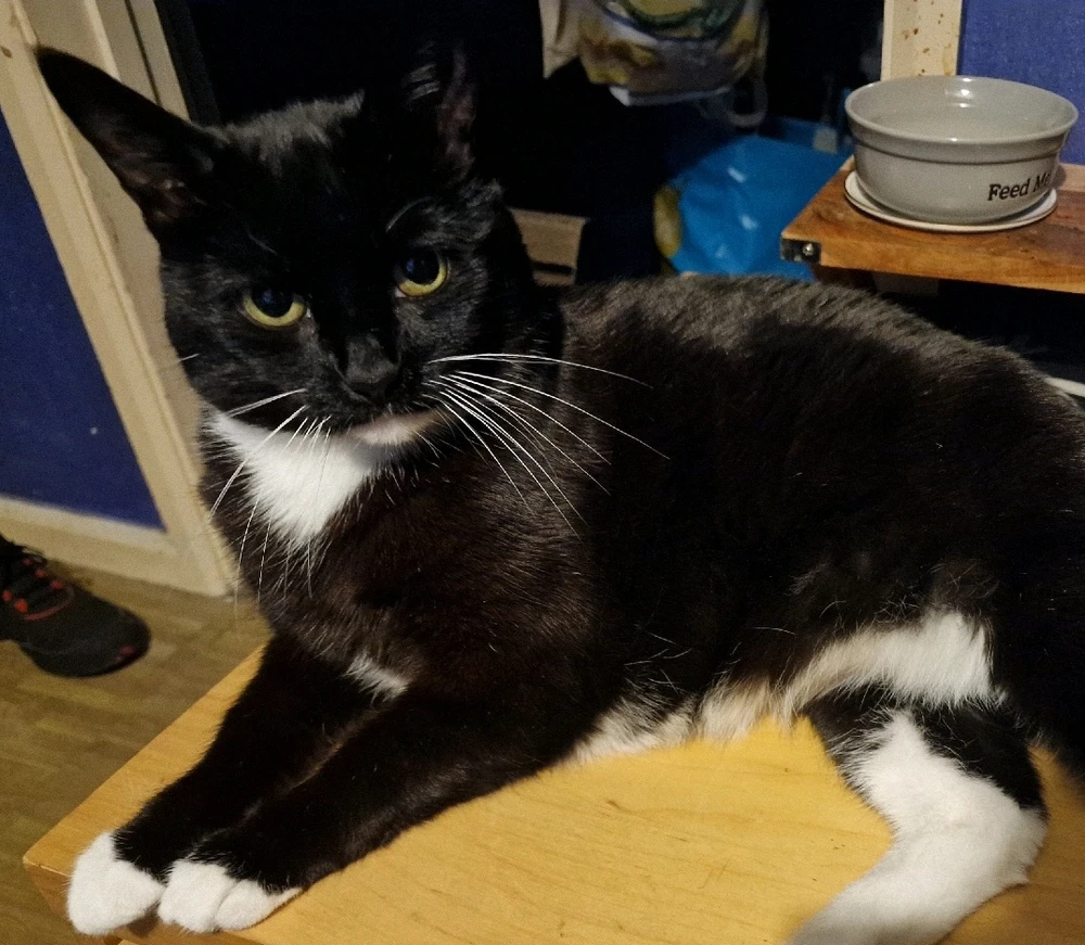 GIF uploaded by Eric