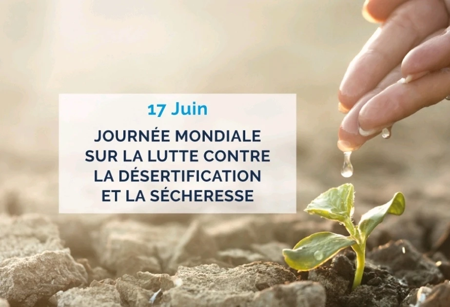 GIF ajouté par Hamdi