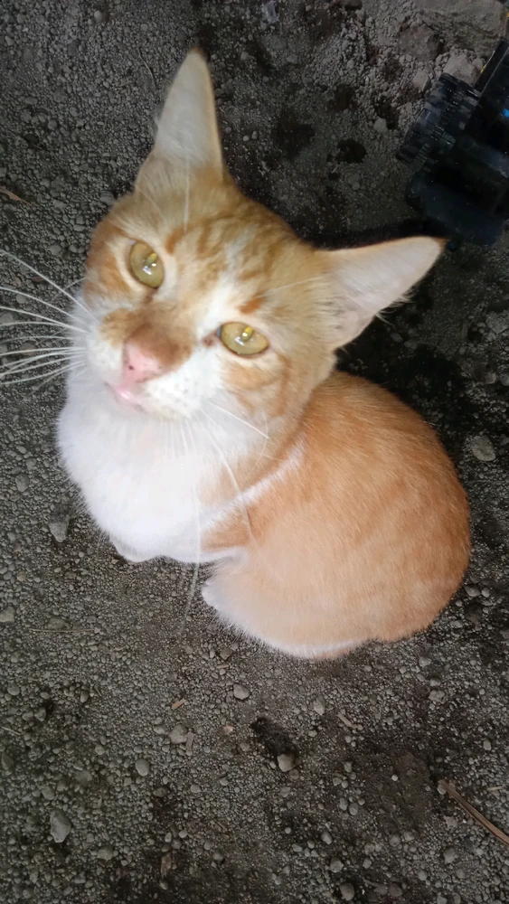 GIF uploaded by Francisco