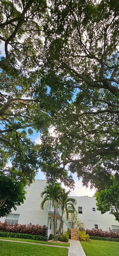 Image uploaded by Liza