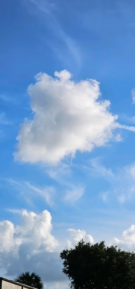 Image uploaded by Liza