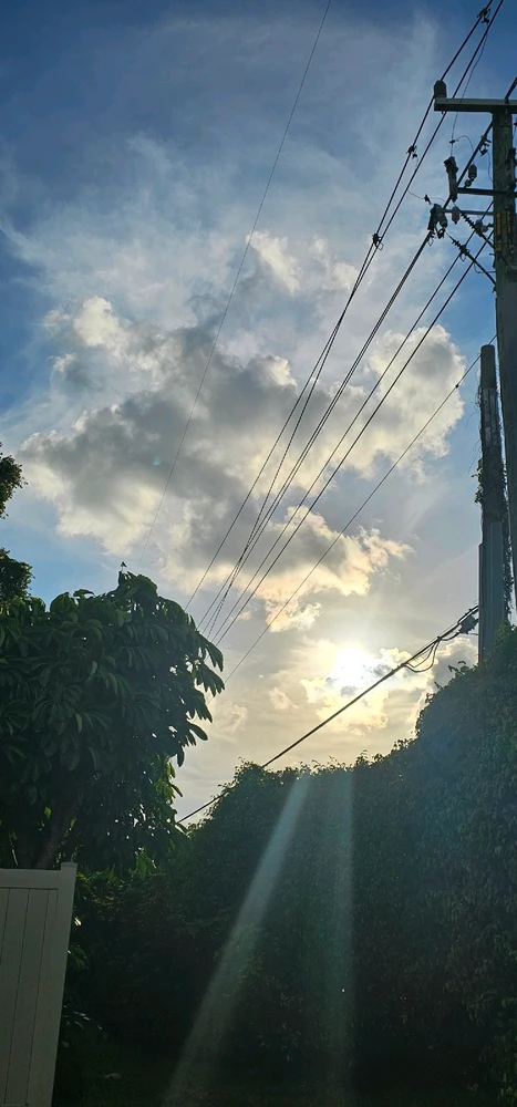 Image uploaded by Liza