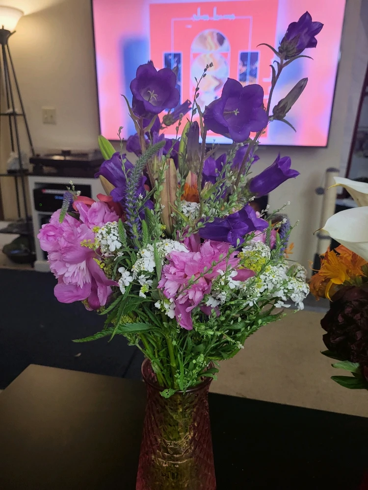 Image uploaded by Dylan