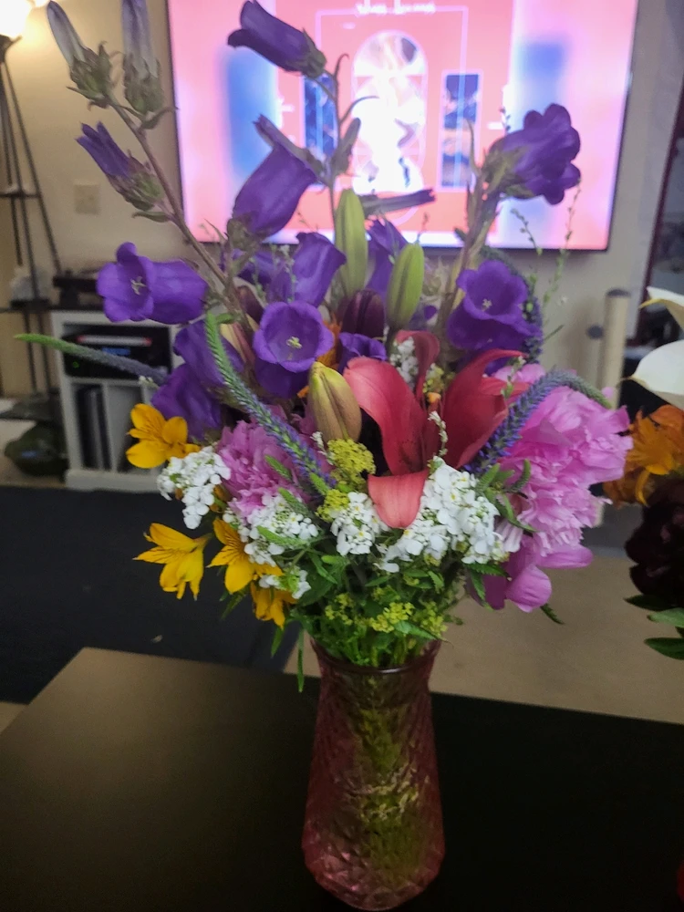 Image uploaded by Dylan