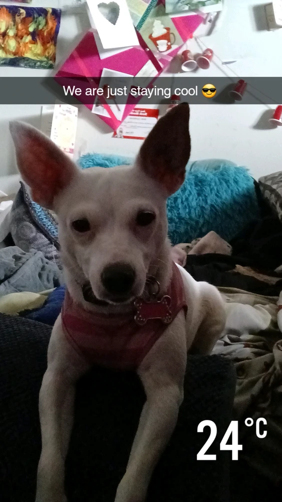 Image uploaded by DevilsDaughter