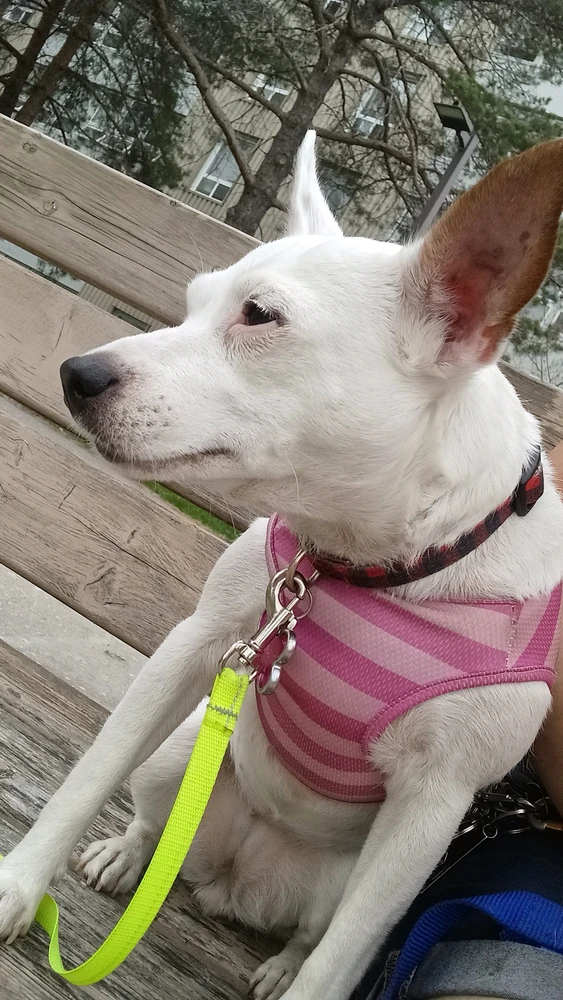 Image uploaded by DevilsDaughter