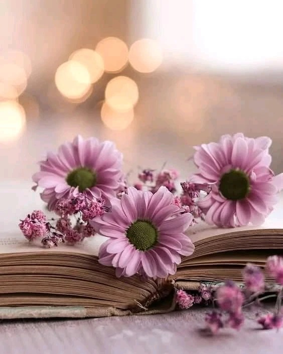 GIF качен от Даниела Урумова