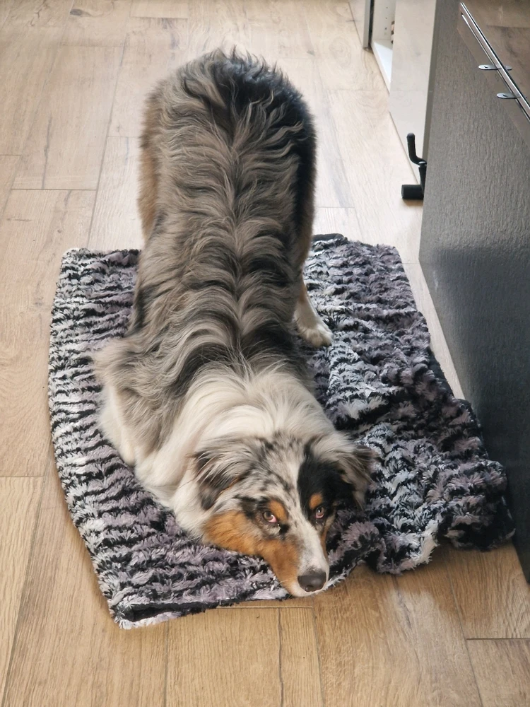 GIF caricata da Nicole