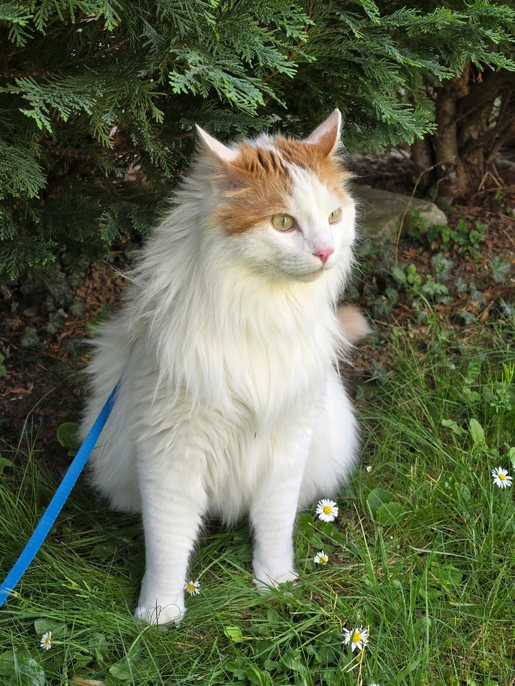 GIF hochgeladen von Belinda ☺️