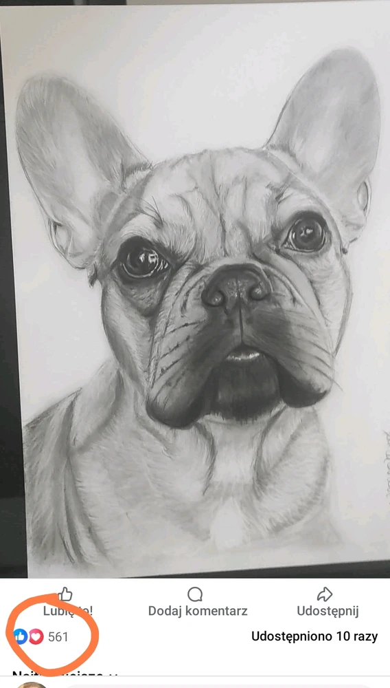 GIF dodany przez Krzysiek