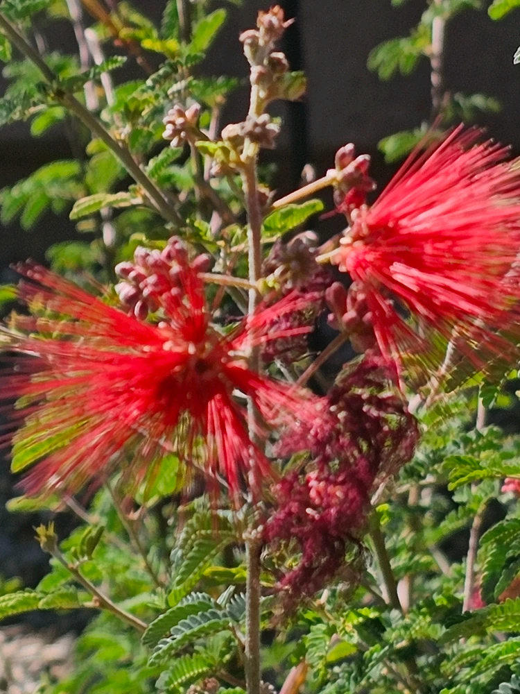 Image uploaded by Christian