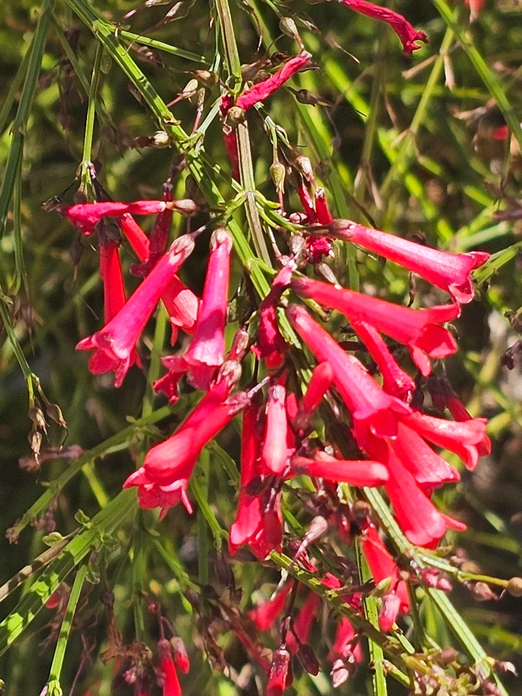 Image uploaded by Christian