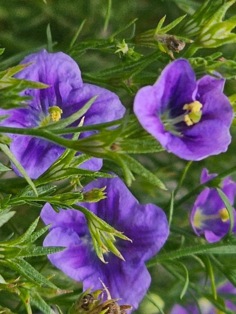 Image uploaded by Christian