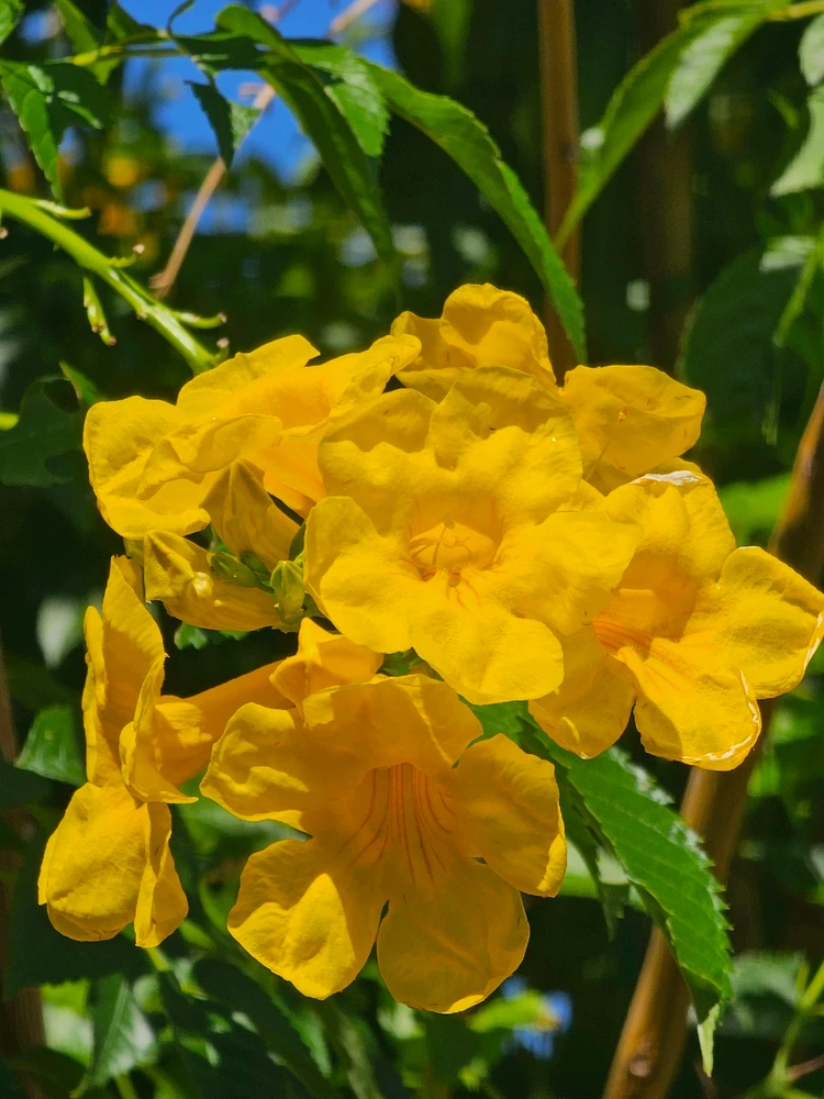 Image uploaded by Christian