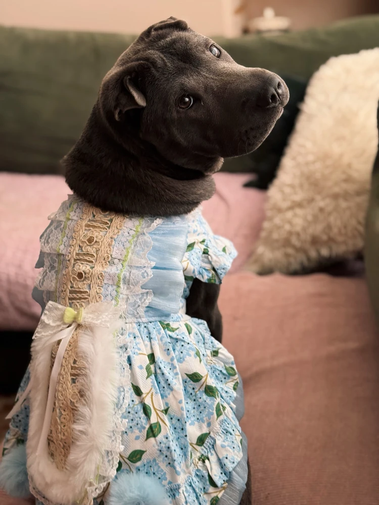 Image uploaded by Femke