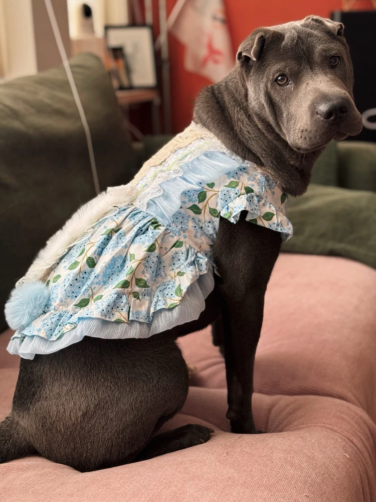 Image uploaded by Femke