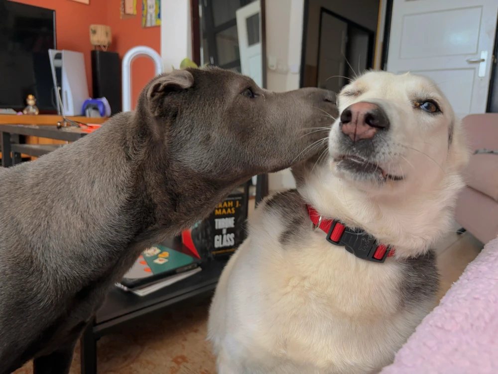 Image uploaded by Femke