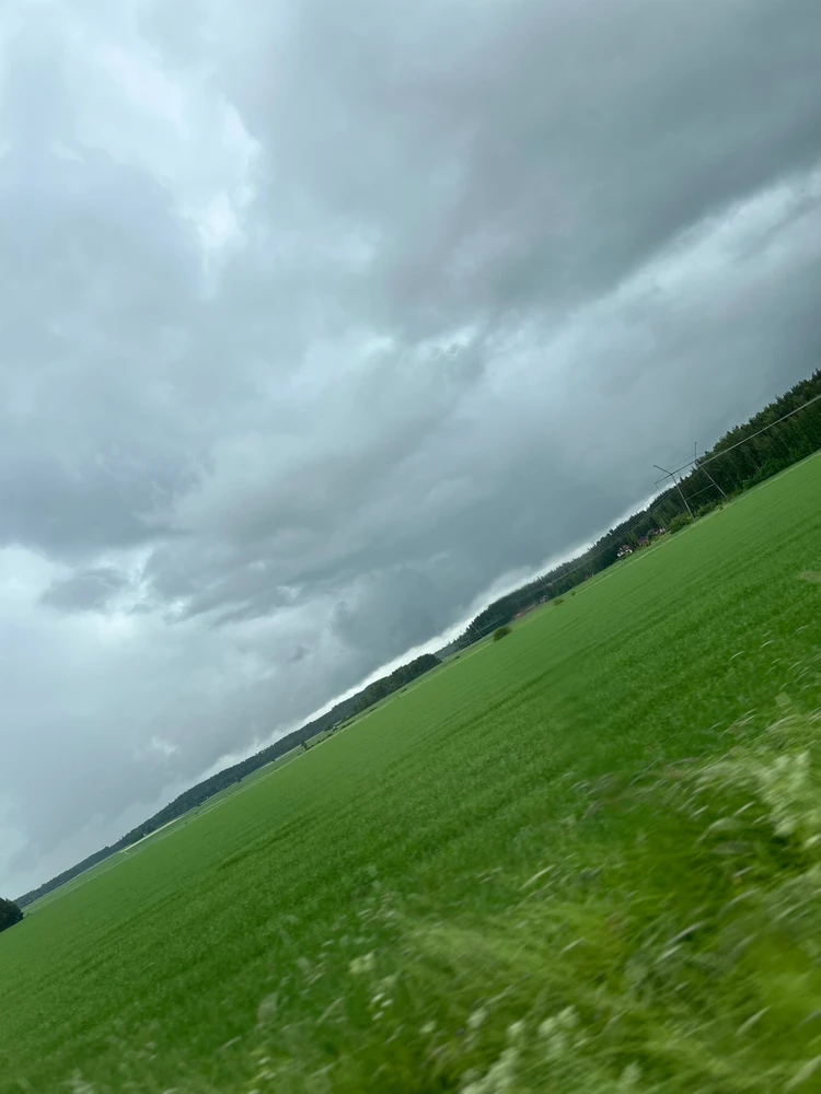 GIF-tiedoston lisäsi aleksi