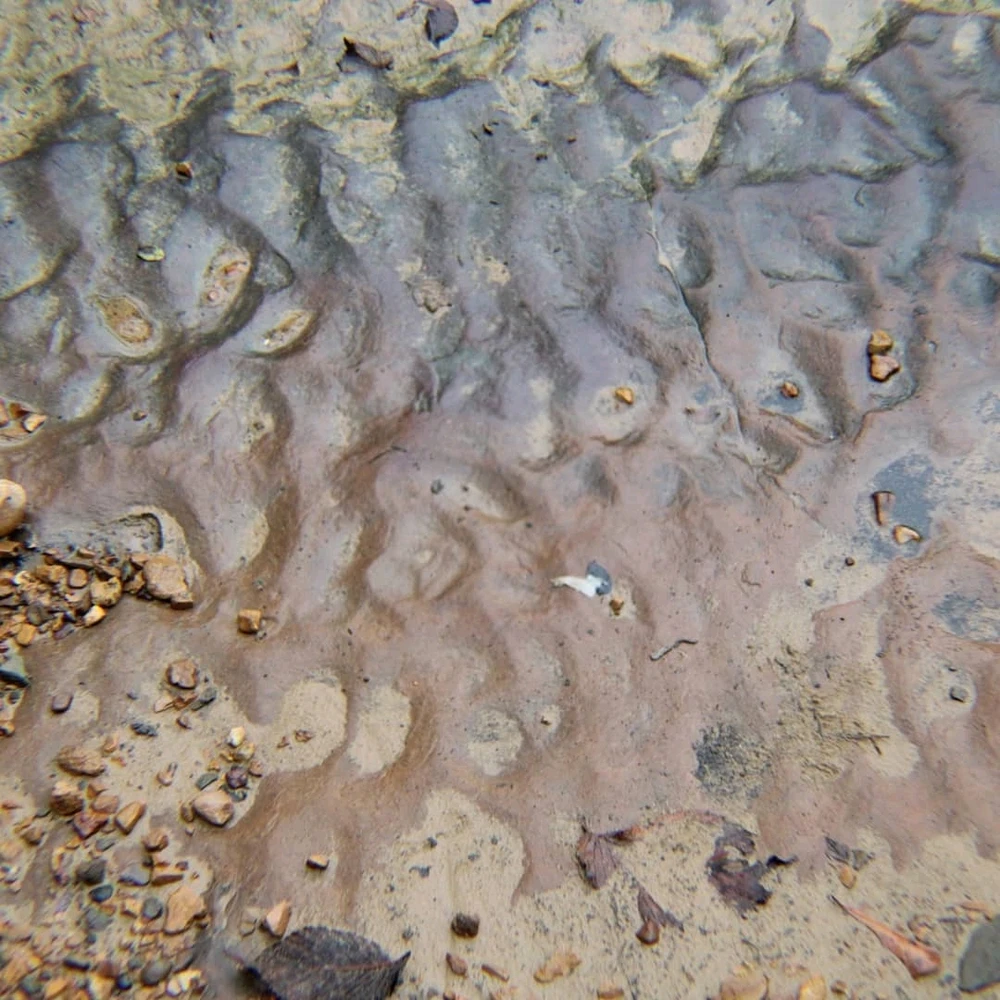 Image uploaded by Joshua Smith