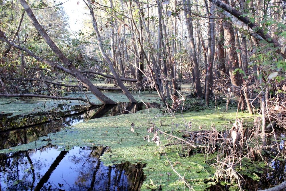 Image uploaded by Joshua Smith