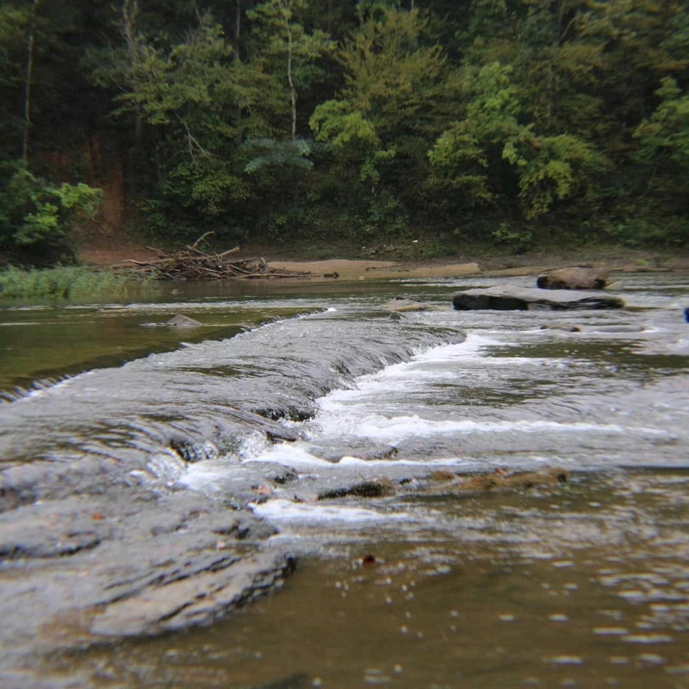 Image uploaded by Joshua Smith