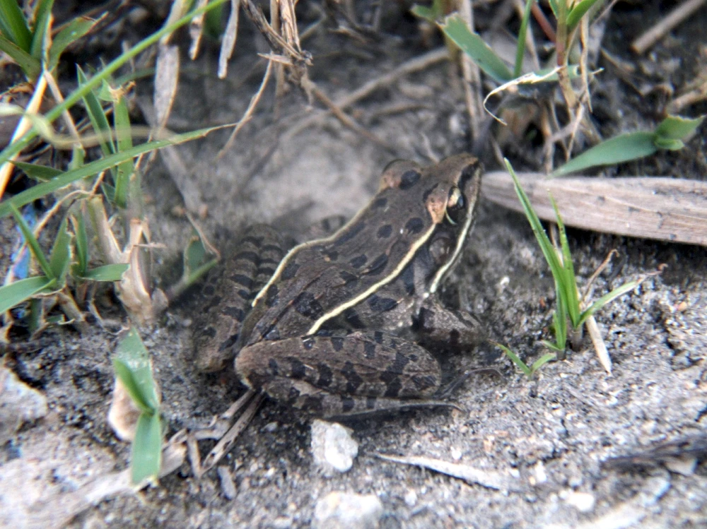 Image uploaded by Joshua Smith