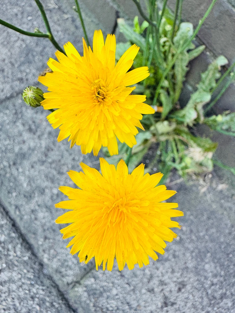 GIF uploaded by Hemail