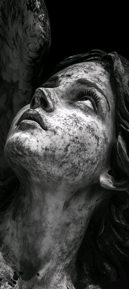 Фото загрузил Дарья