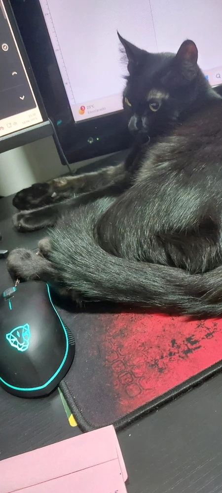 GIF enviado por Bruna