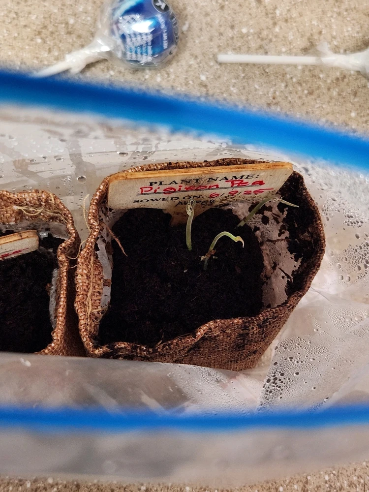 Gambar diunggah dening Cj