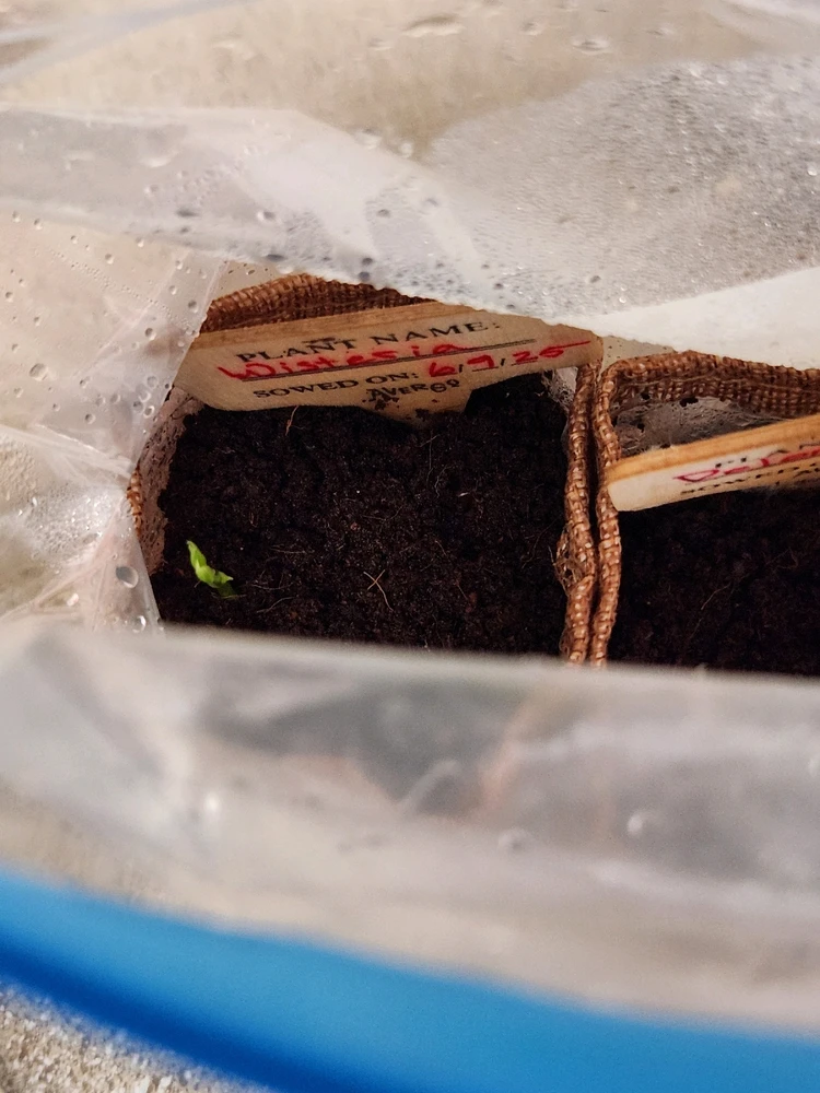 Gambar diunggah dening Cj